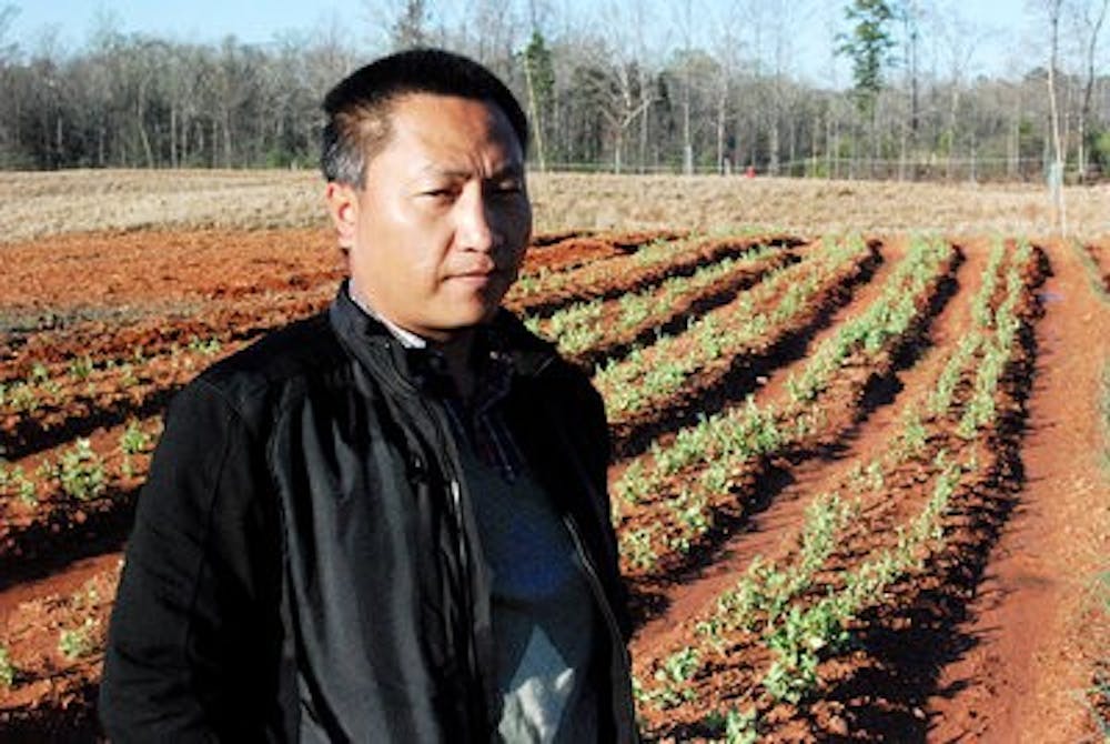 Zhao hopes to grow relationships with Auburn's Chinese community through farming.