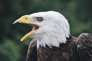 Danielle Lowe / PHOTOGRAPHER