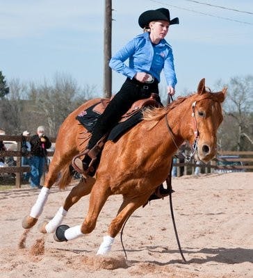 The Equestrian team looks forward to a hard week of practice to prepare for UGA. Philip Smith / ASSISTANT PHOTO EDITOR