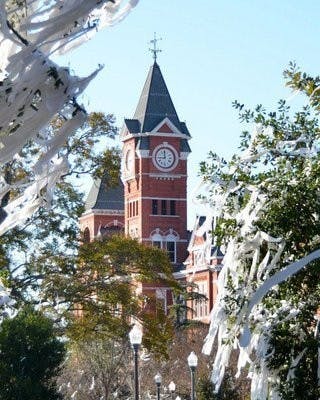 This week on The Plains