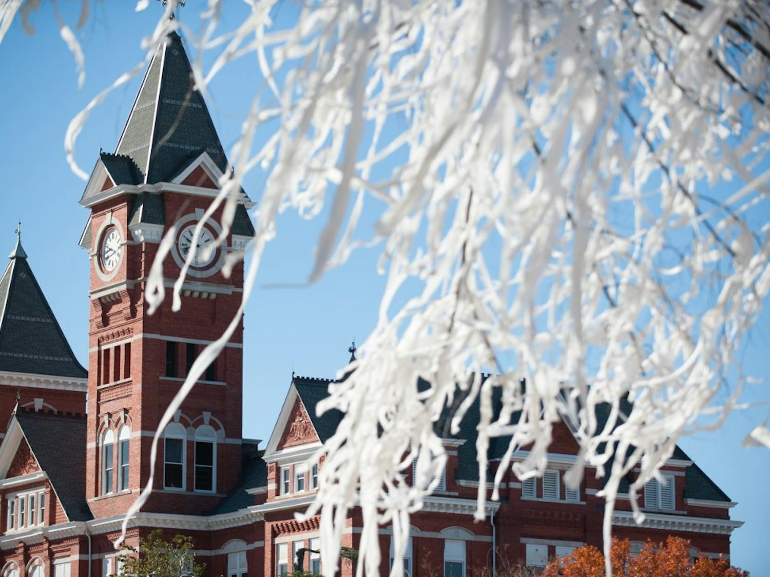 Toilet paper hangs from a tree in Samford Park on Sunday, Nov. 26 in Auburn, Ala.
