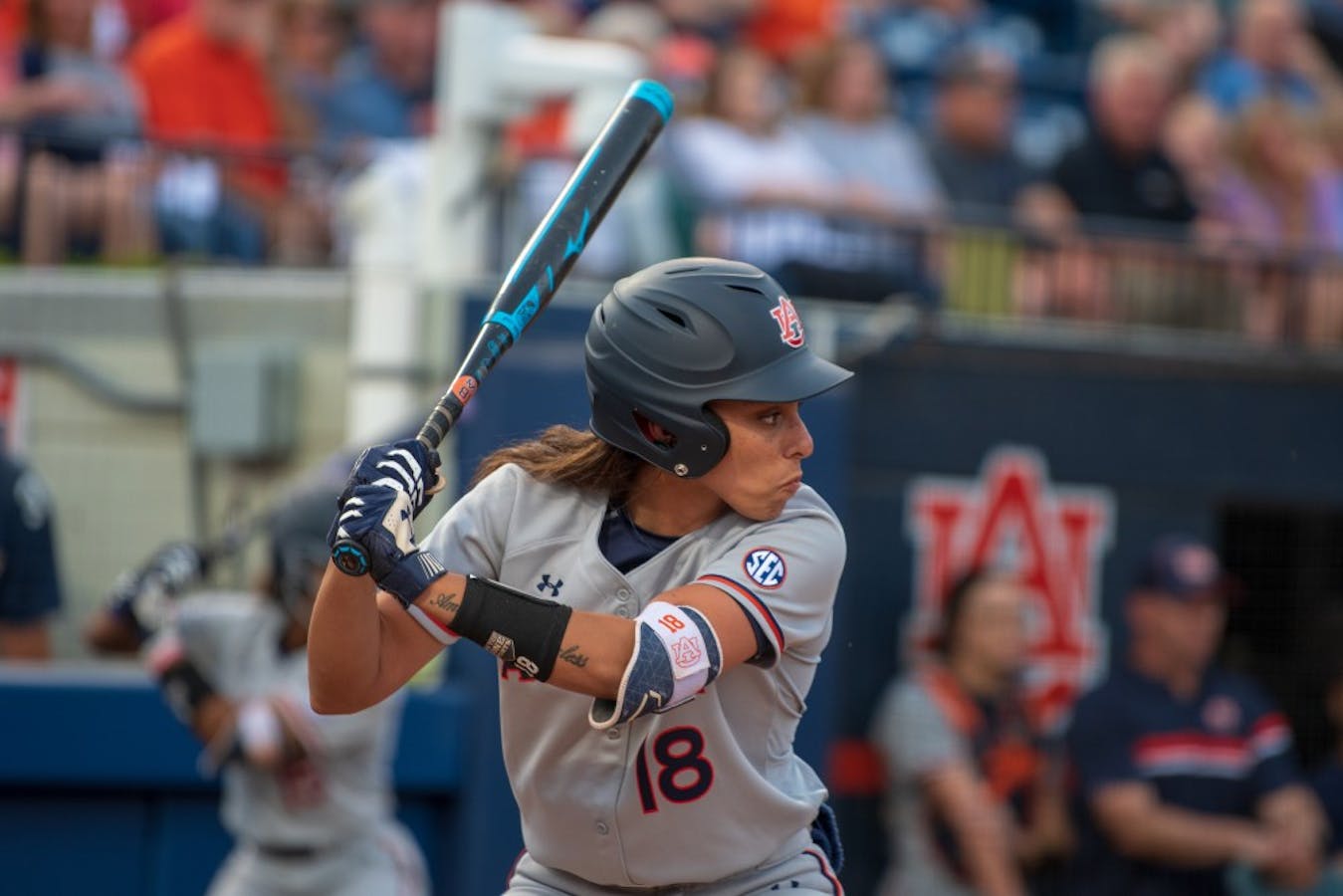 Gallery Auburn Softball Vs South Carolina 41219 The Auburn Plainsman 4404