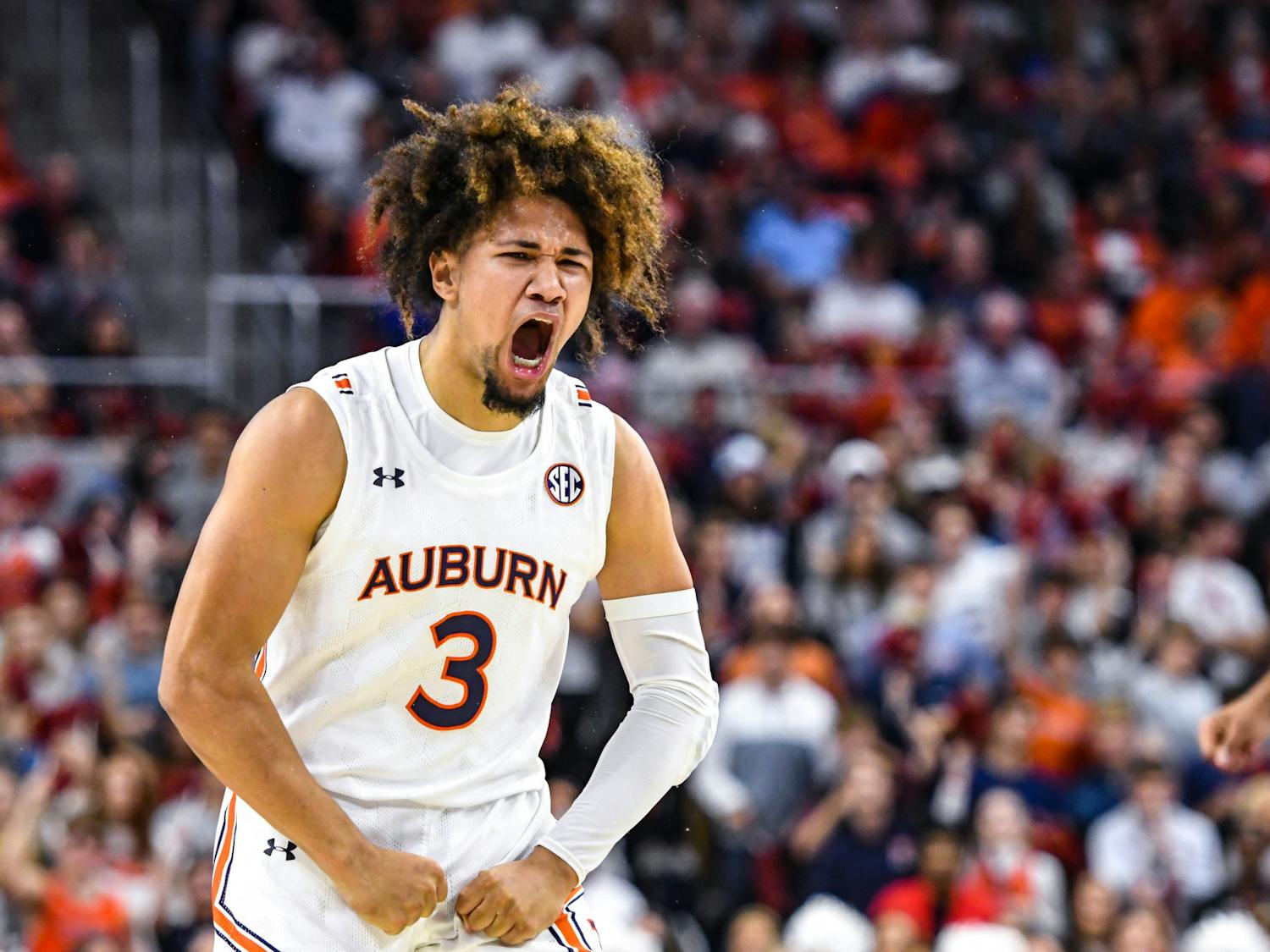 AuburnUSF-5.jpg Tre Donaldson