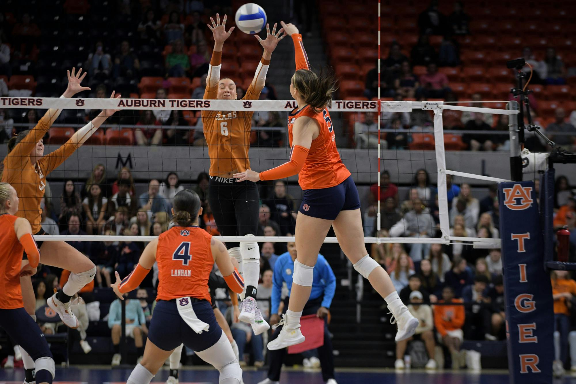 Volleyball vs Texas
