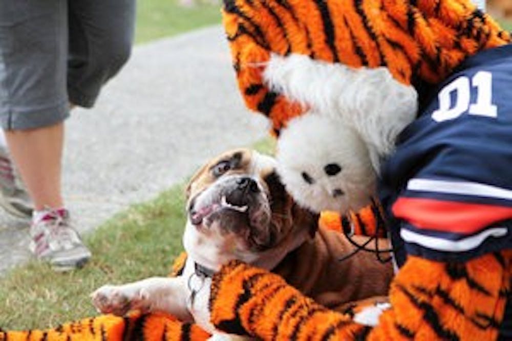 Aubie the Tiger pets Max, a 1-year-old English bulldog owned by Bobbie Hackett, at Woofstock, a charity event held by the Lee County Humane Society, at Kiesel Park Saturday, Sept. 29. (Rebecca Croomes / PHOTO EDITOR)