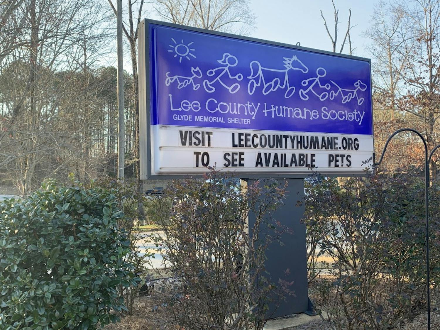 GALLERY: Lee County Humane Society | 1.29.2019