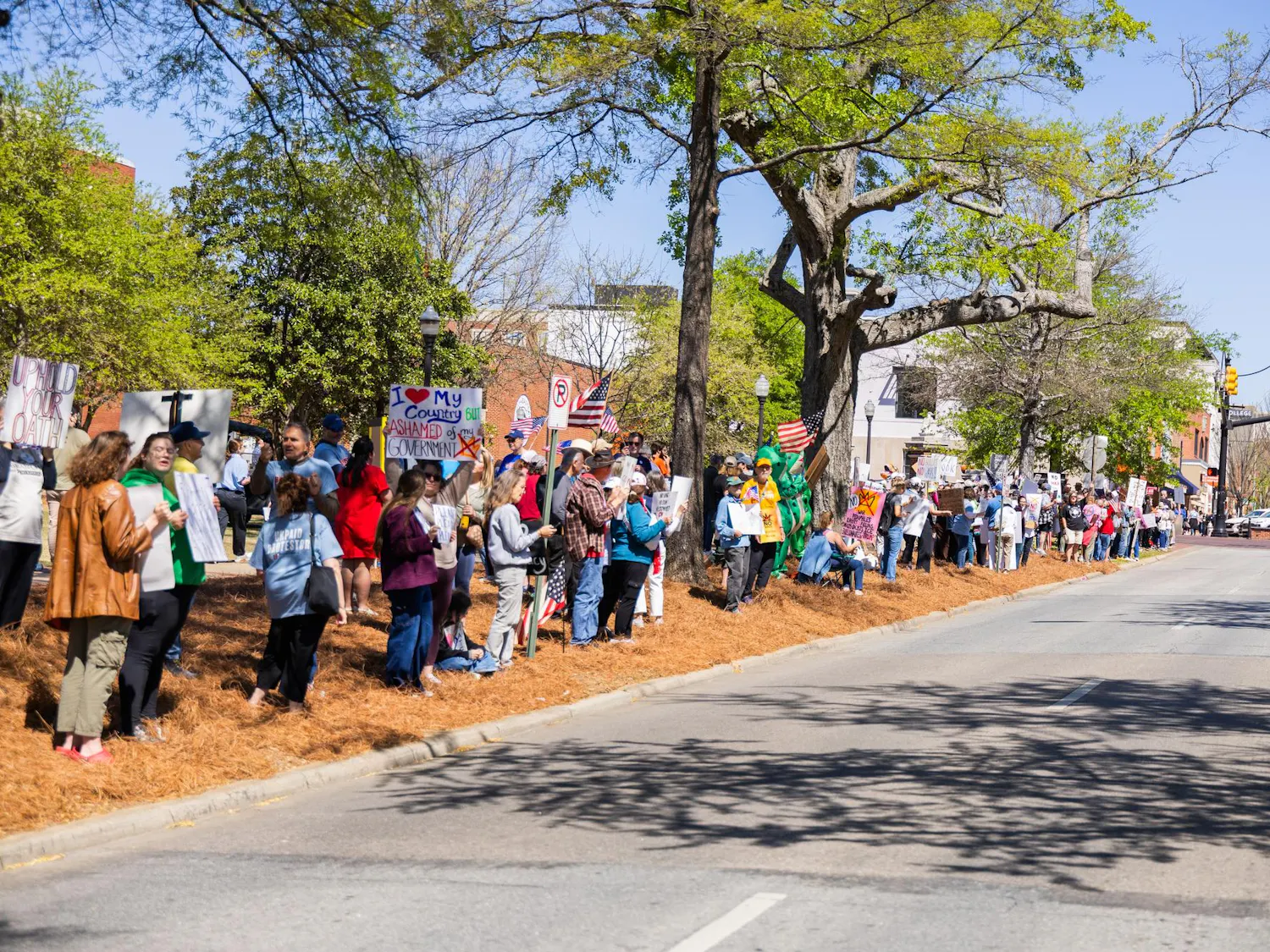 A crowd of people holding signs and flags stands along a street lined with trees and buildings on a sunny day.
