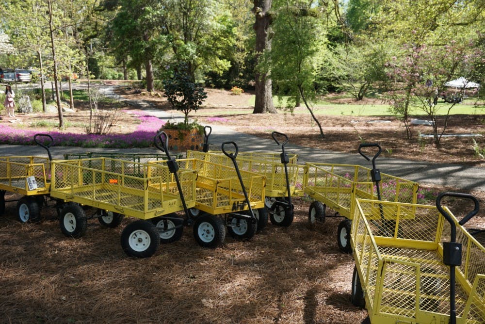 Auburn Series azaleas available for purchase at the Azalea Festival at Auburn University's Donald E. Davis Arboretum on Saturday, March 31, 2018, in Auburn, Ala.