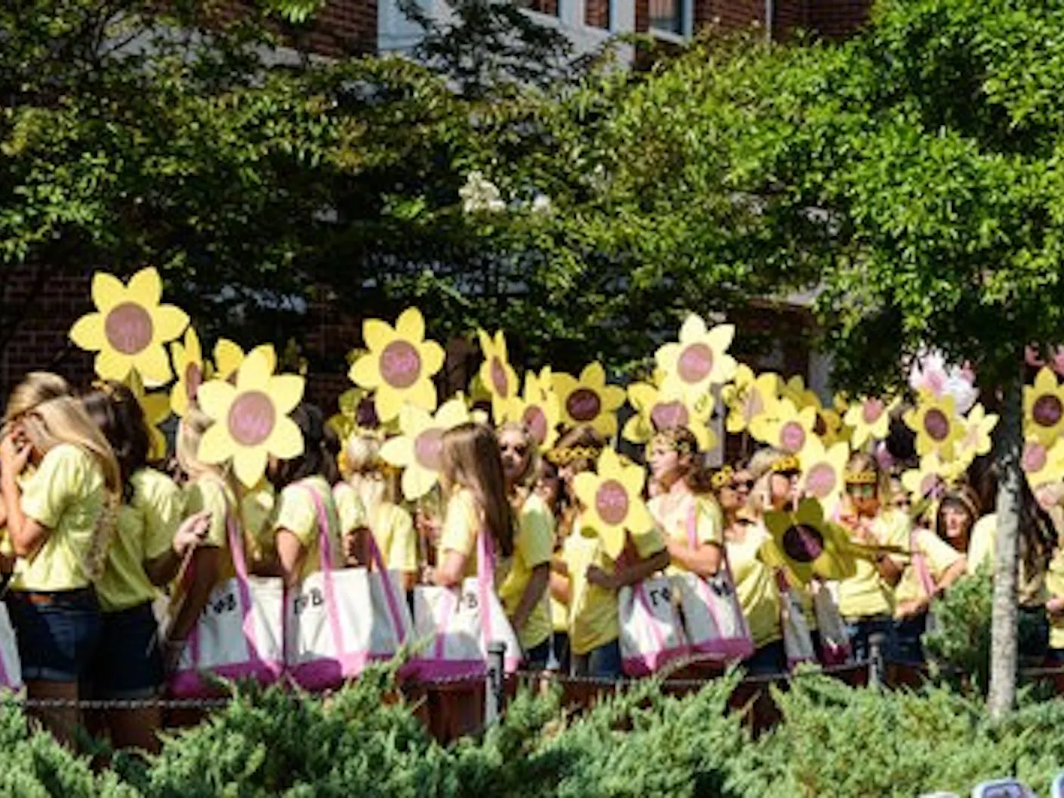 Bid Day 2014 sorority