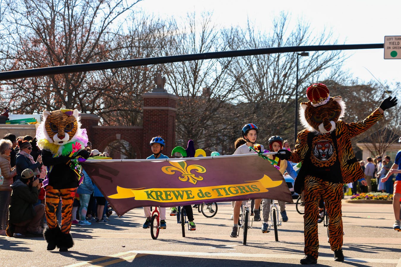 mardi gras auburn