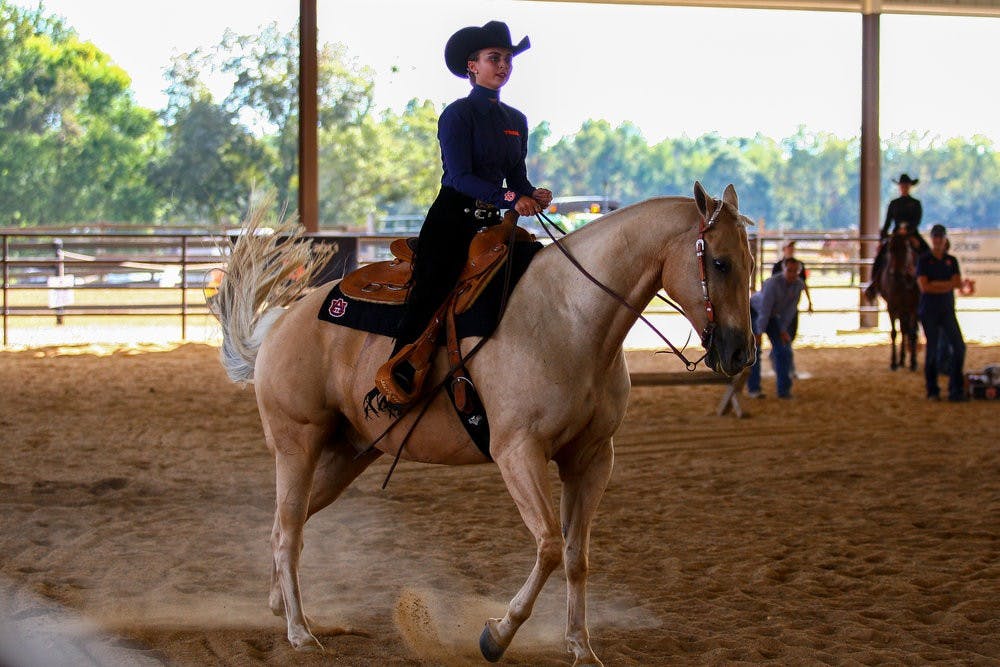 Auburn Equestrian