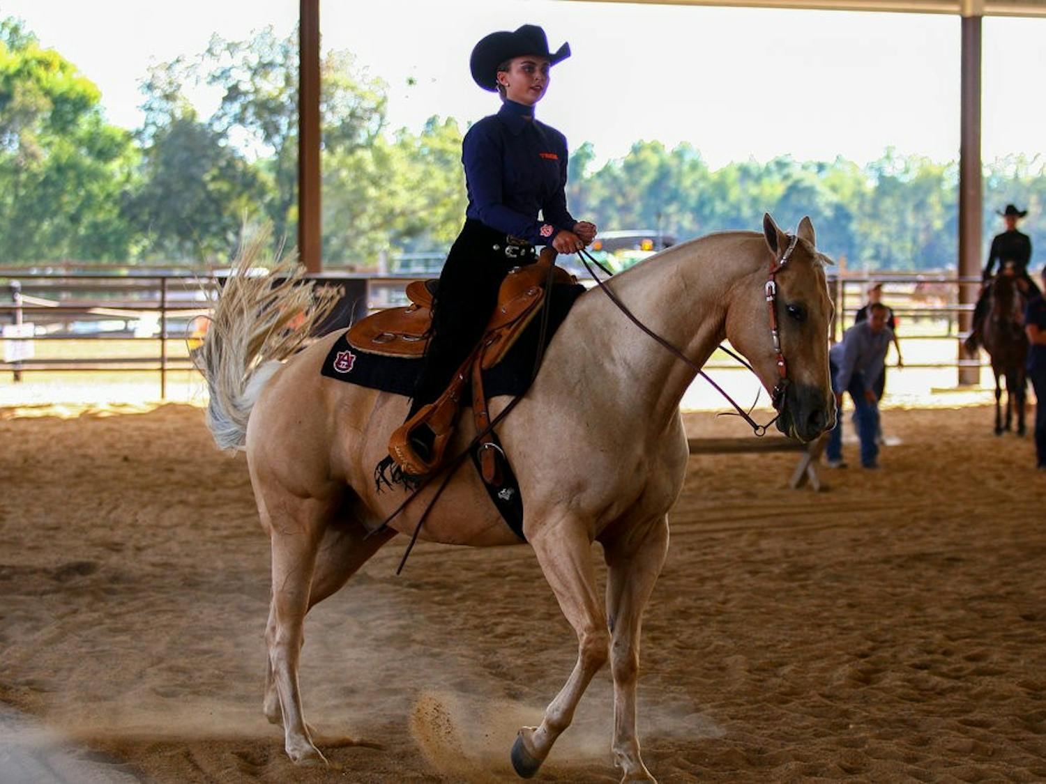 Auburn Equestrian