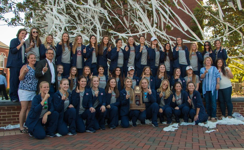 equestrian at toomers 1