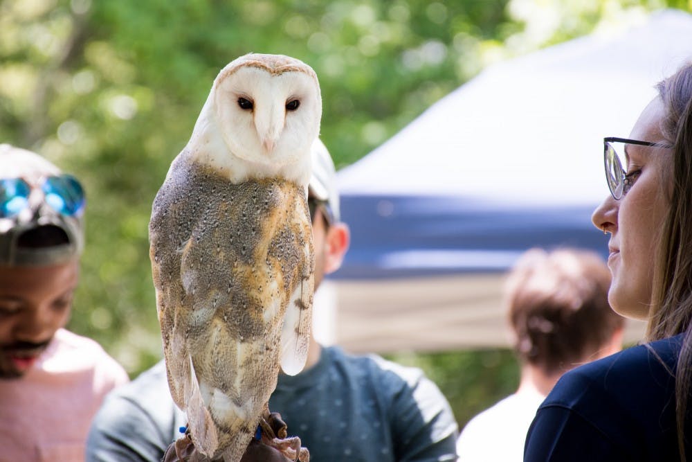 The Southeastern Raptor Center brings an owl to Auburn CityFest on Saturday, April 28, in Auburn, Ala.