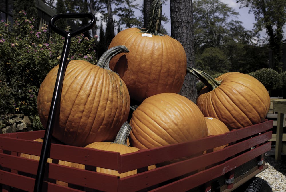 Fresh pumpkins for sale at botanic plant shop in Opelika on September 16, 2022