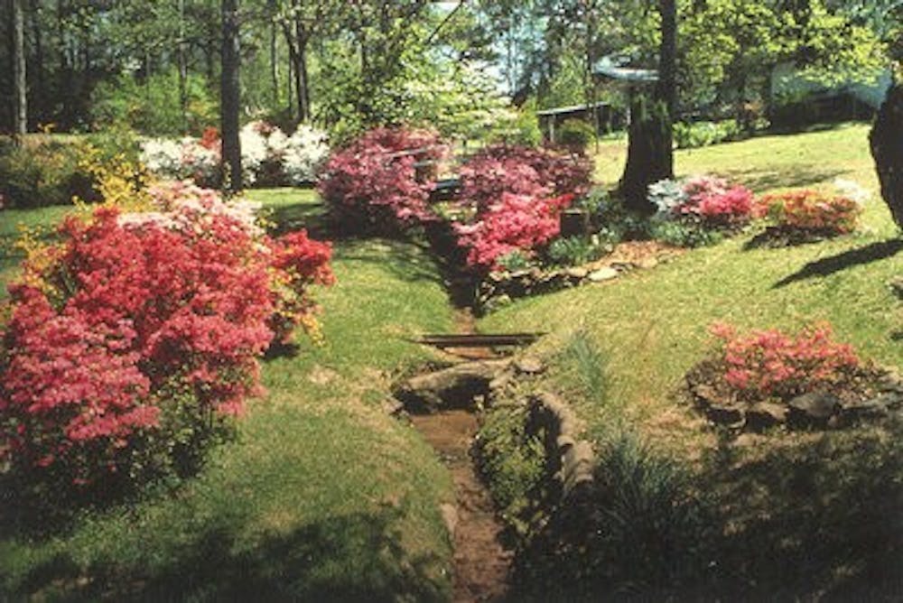 Each trail in the Auburn Floral Trail features a variety of plants, including azaelas and dogwoods. (Courtesy of the Auburn-Opelika Tourism Bureau)