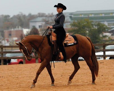 Senior Lucy Igoe, Western rider for the Tigers, wants to challenge for the National Collegiate Equestrian Association title in her final season.