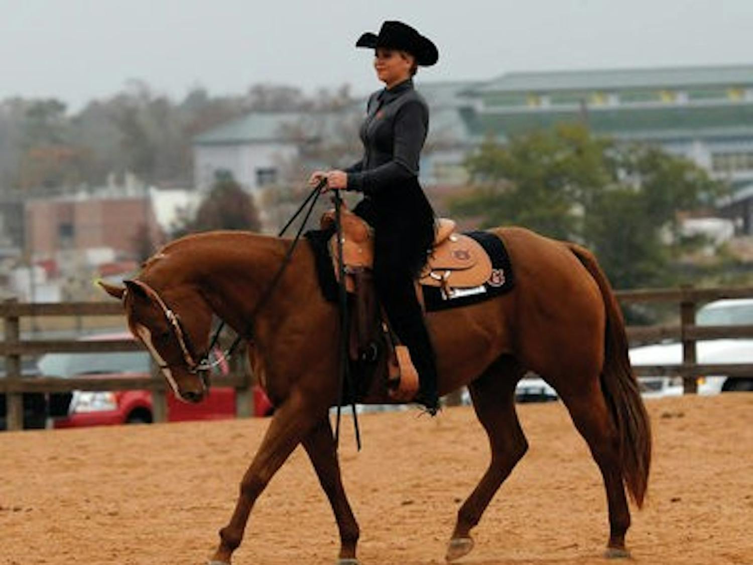 Senior Lucy Igoe, Western rider for the Tigers, wants to challenge for the National Collegiate Equestrian Association title in her final season.