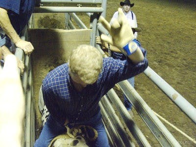 A participant in the FarmHouse Rodeo Classic readies himself before the gates open for his ride. (CONTRIBUTED)