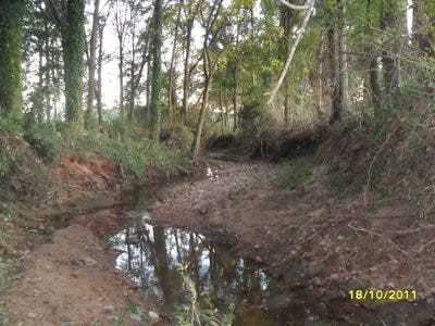 The primary purpose of the Parkerson Mill Creek project is to prevent pollution and promote sustainability. (Courtesy of Kaye Christian)