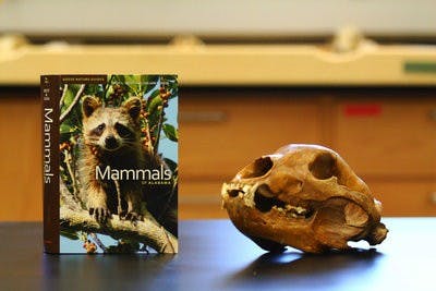 Mammal Book