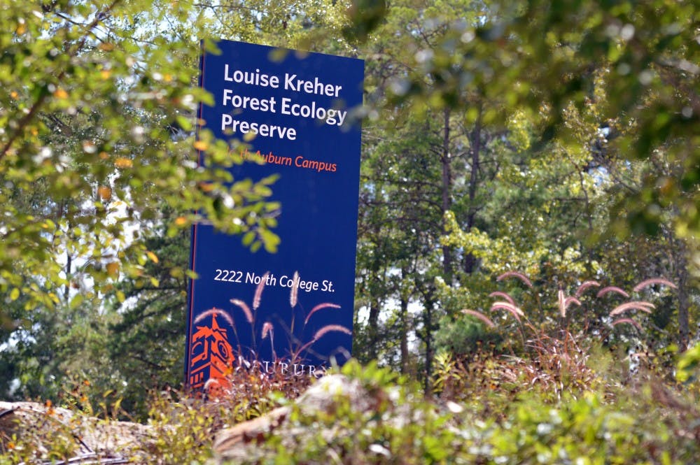 Kreher Forest Preserve 1