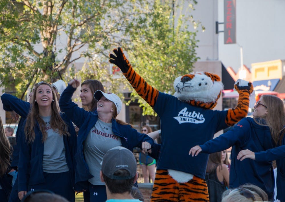 equestrian at toomers 2