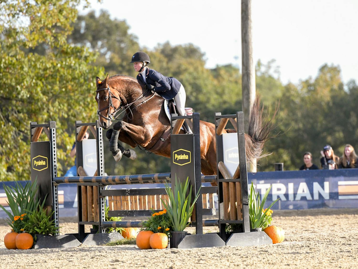 Auburn vs. South Carolina Equestrian