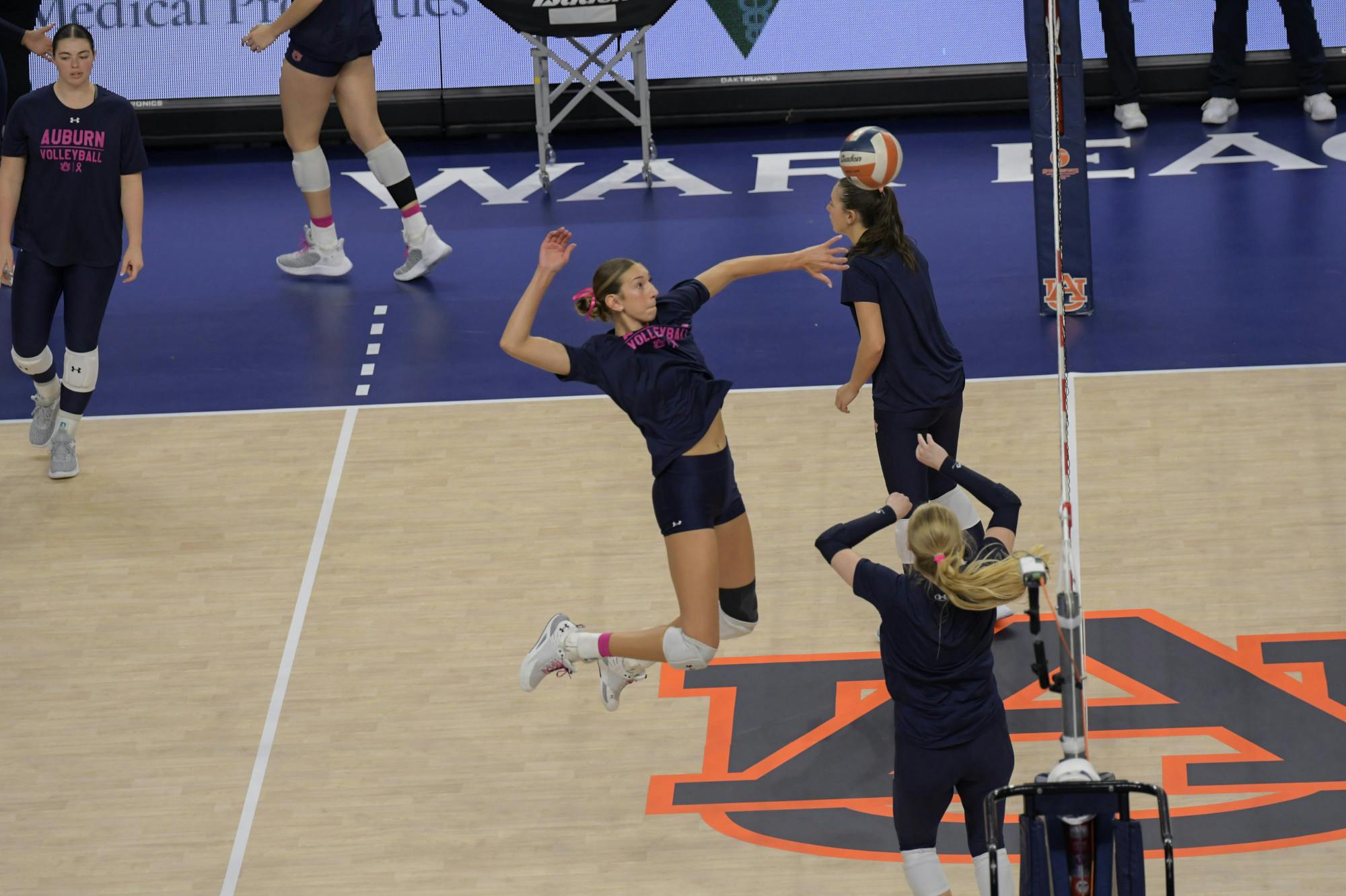 Volleyball vs South Carolina