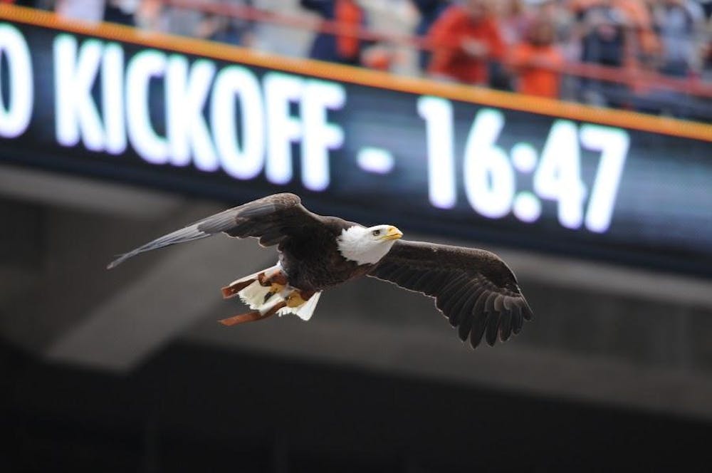<p>An eagle from the Auburn University Raptor Center (AURC) circles the Jordan-Hare Stadium for the pre-game flight before the game between Auburn and University of Idaho. </p>