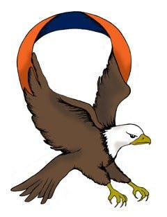 Rachel Suhs / FREELANCE DESIGNER