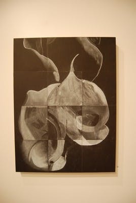 Austin Nelson/Associate Photo Editor