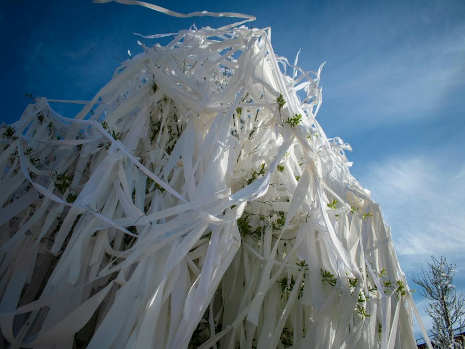 GALLERY: Toomer's Corner after Auburn punches Final 4 ticket | 4.1.19