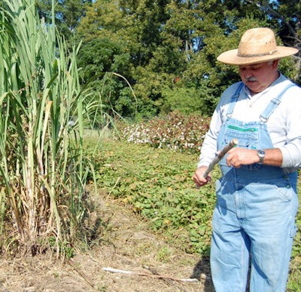 Charles Mitchell, professor of agronomy and soils, explains how to harvest sugarcane at Pioneer Park in Loachapoka as part of Lee County Historical Society's Second Saturdays. (Alison McFerrin / NEWS EDITOR)