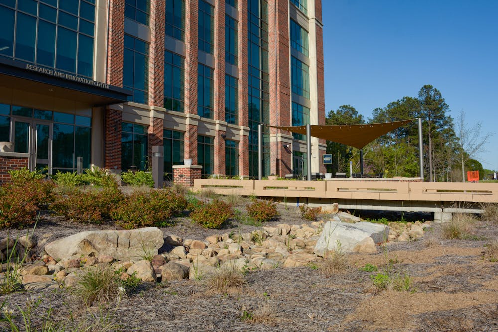 <p>A bioswale in front of the Research and Innovation Center on March 27, 2024.</p>