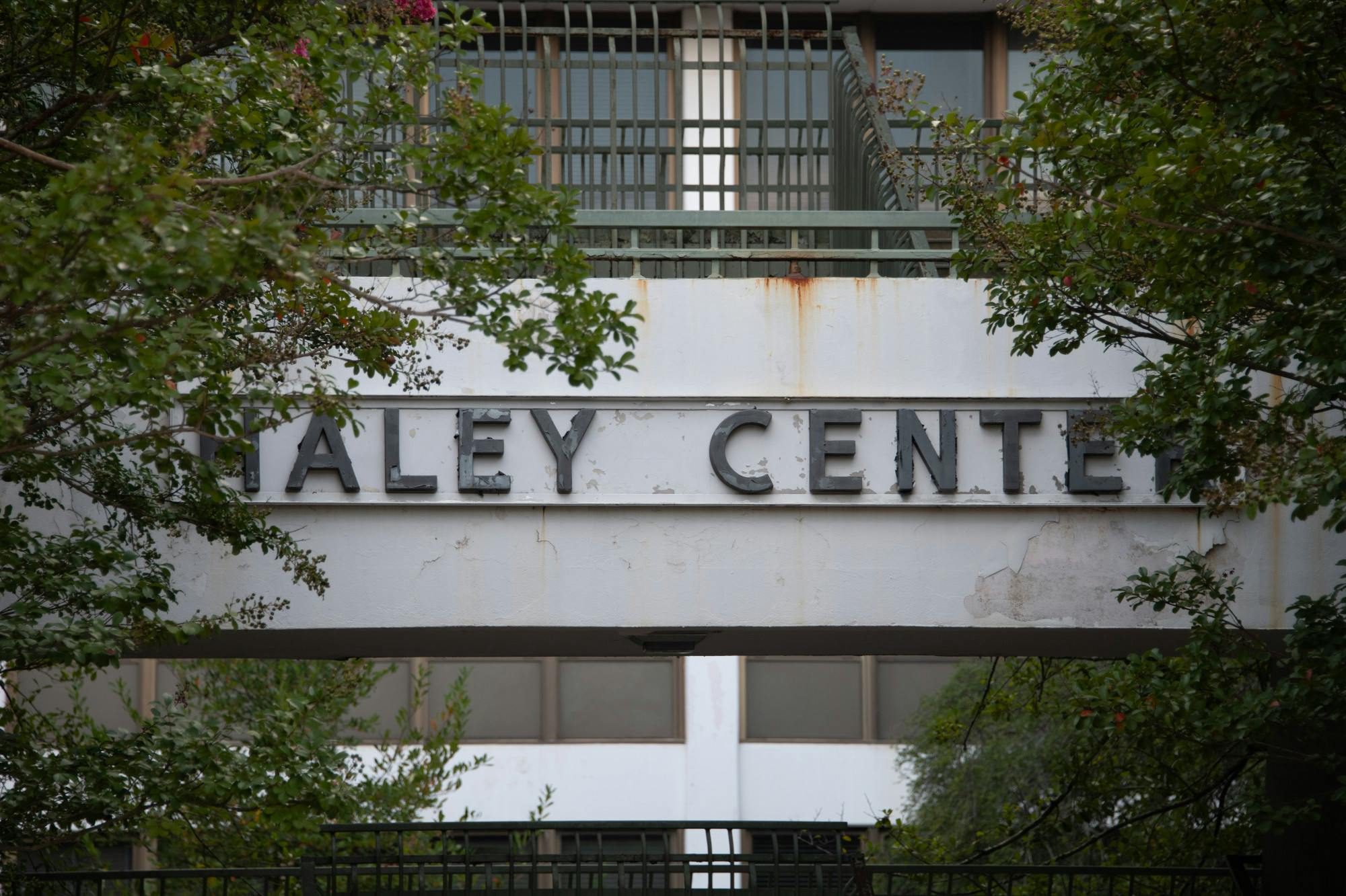 Cole P Haley Center Stairs