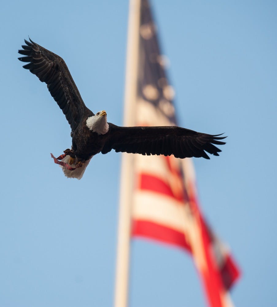 Spirit flies in front of the flag.