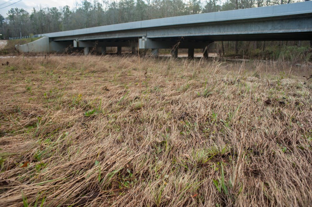Grass along the banks of Sougahatchee Creek is bent over from flash flood waters that occurred the day before. Friday, Dec. 25, 2015, in Auburn, Alabama.