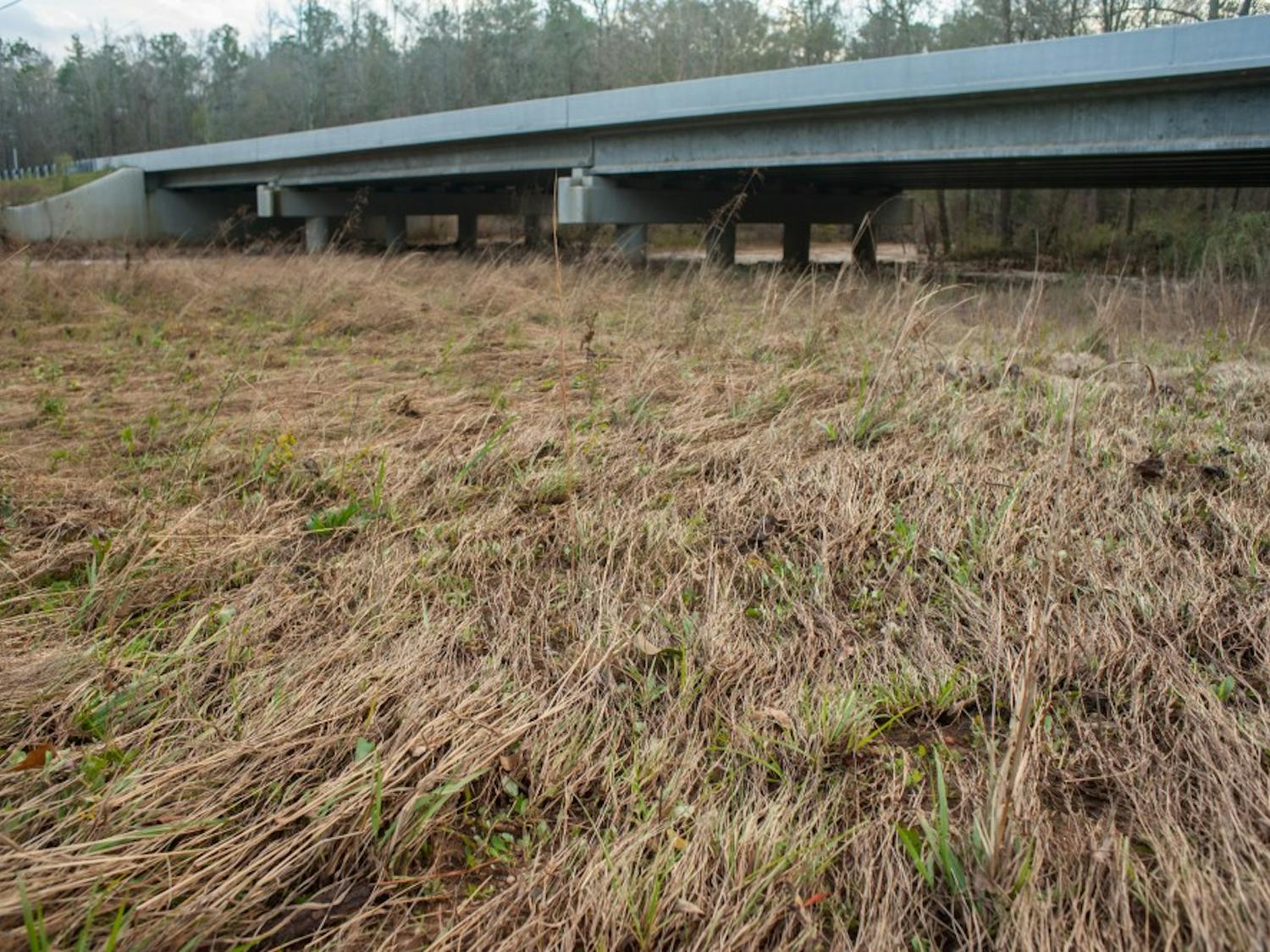 Grass along the banks of Sougahatchee Creek is bent over from flash flood waters that occurred the day before. Friday, Dec. 25, 2015, in Auburn, Alabama.