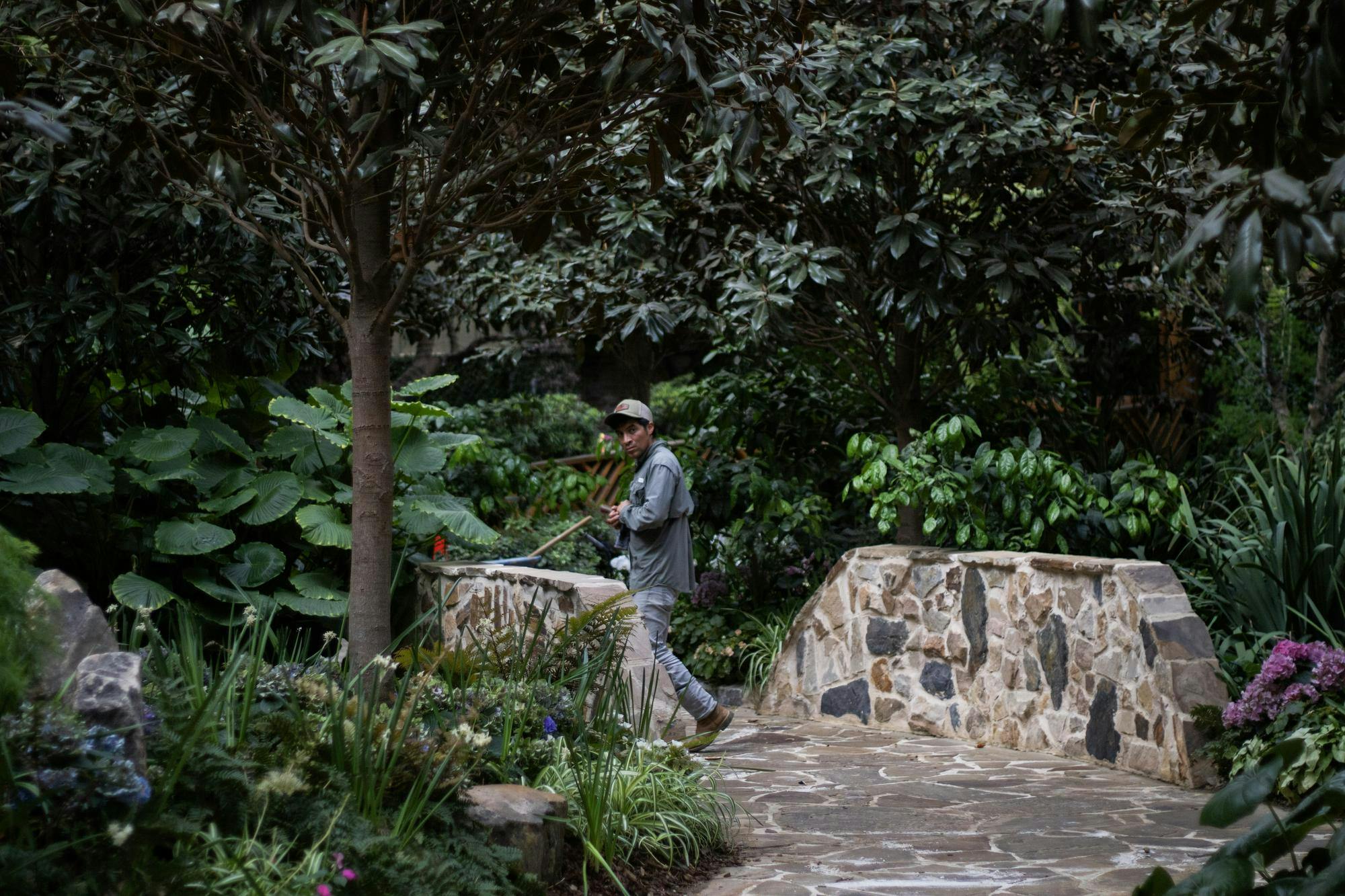 A man walks along a stone path surrounded by lush greenery and trees in a tranquil garden setting.