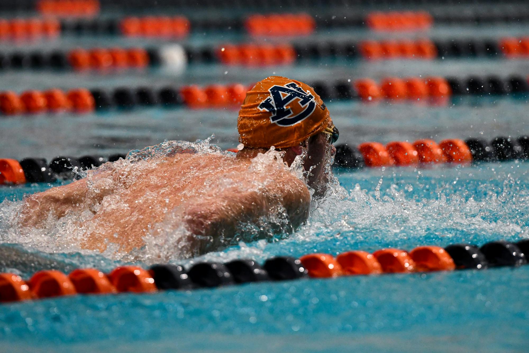 01/04 Swimming & Diving: Auburn vs Texas A&M
