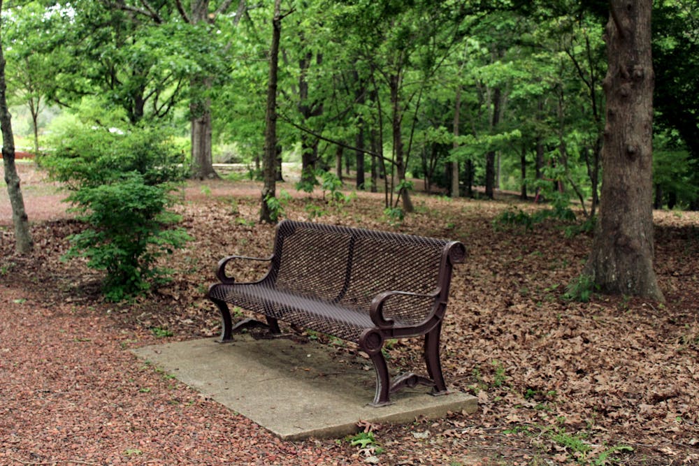 Beautiful scenery at Donald E. Davis Arboretum in Auburn, AL.