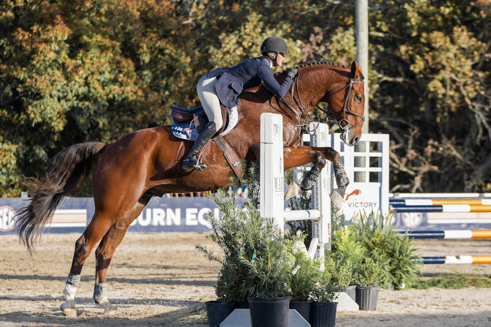 <p>Sophee Steckbeck jumping Blue over fence in a meet against South Carolina at Auburn Equestrian Center on Oct. 27, 2023</p>