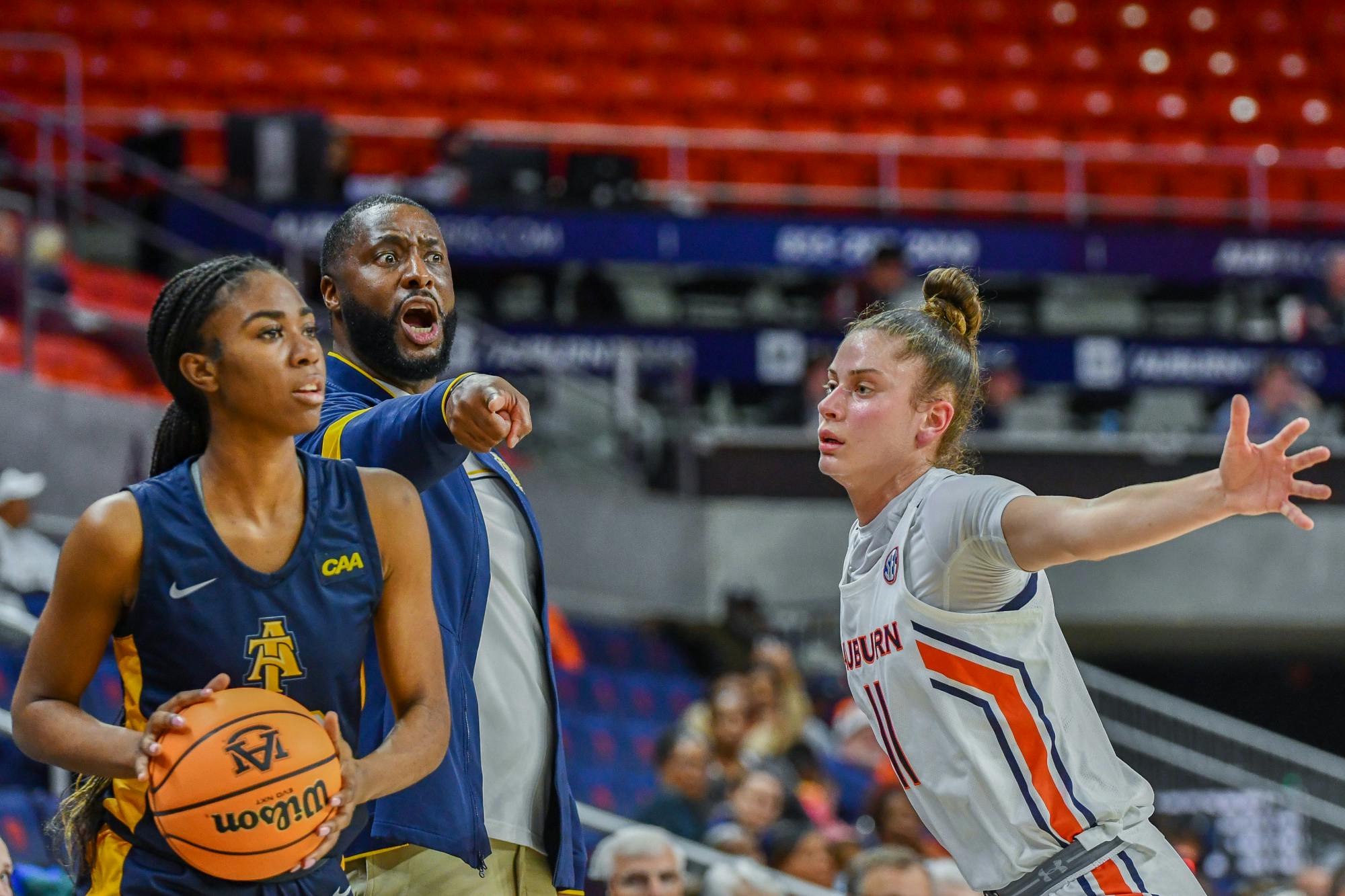 Romi Levy vs A&T.jpg