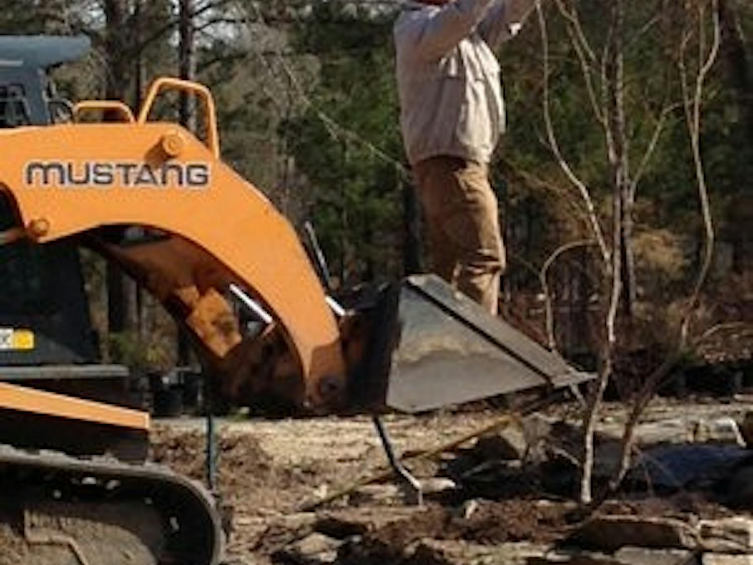 Pat Dye trims trees at Quail Hollow Gardens, his Japanese maple tree farm. (Jherrica Luckie / WRITER)