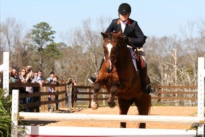 Senior hunt seat rider Anna Becker competes against Oklahoma State Jan. 28. The equestrian team is ranked No. 1 in the country after its victory over the Cowgirls. (FILE PHOTO)