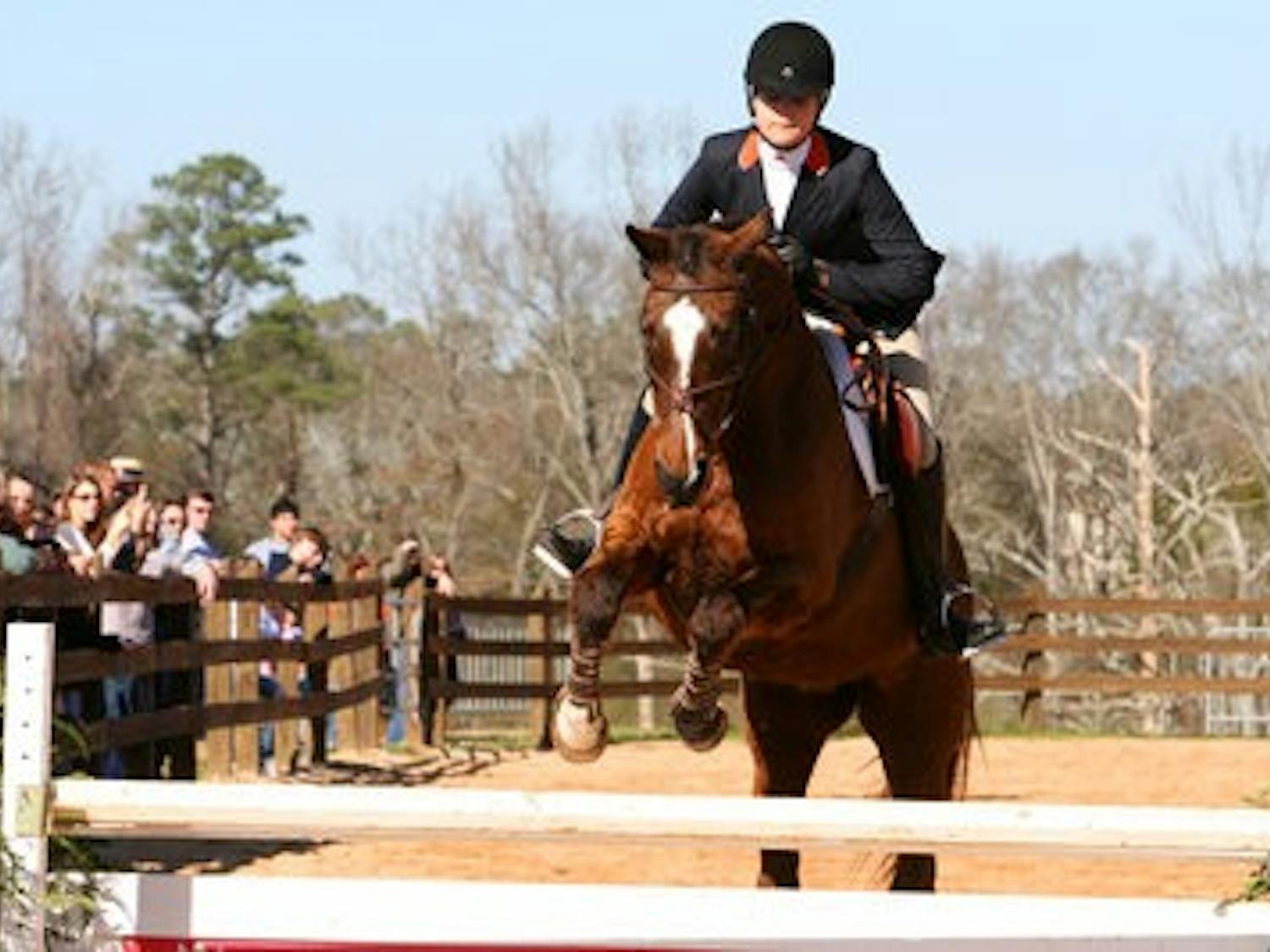 Senior hunt seat rider Anna Becker competes against Oklahoma State Jan. 28. The equestrian team is ranked No. 1 in the country after its victory over the Cowgirls. (FILE PHOTO)