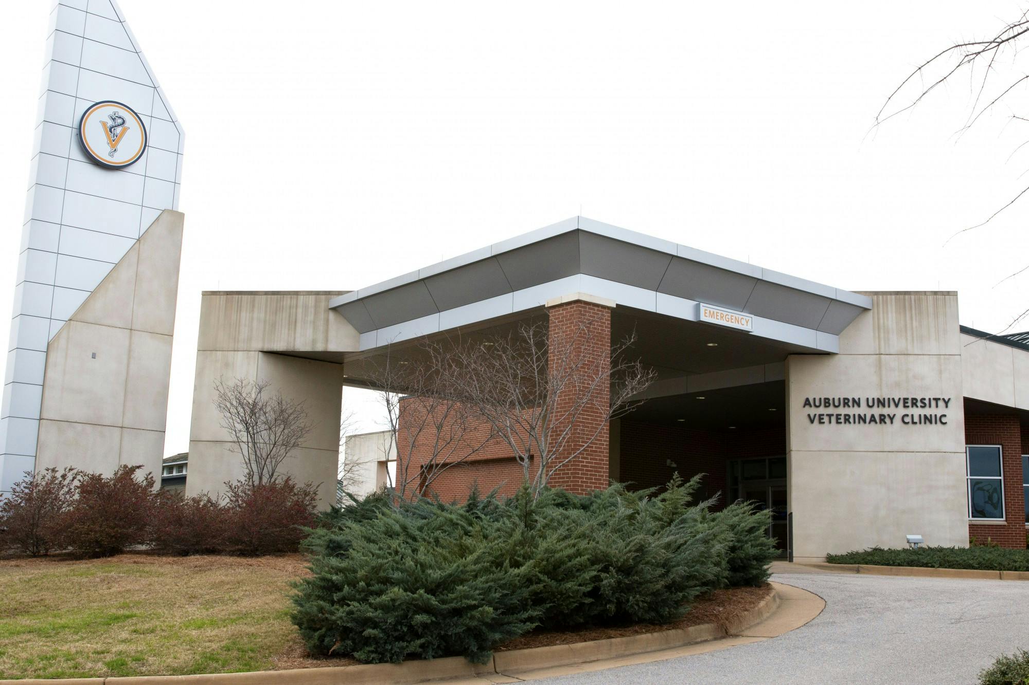 Best Veterinary Clinic