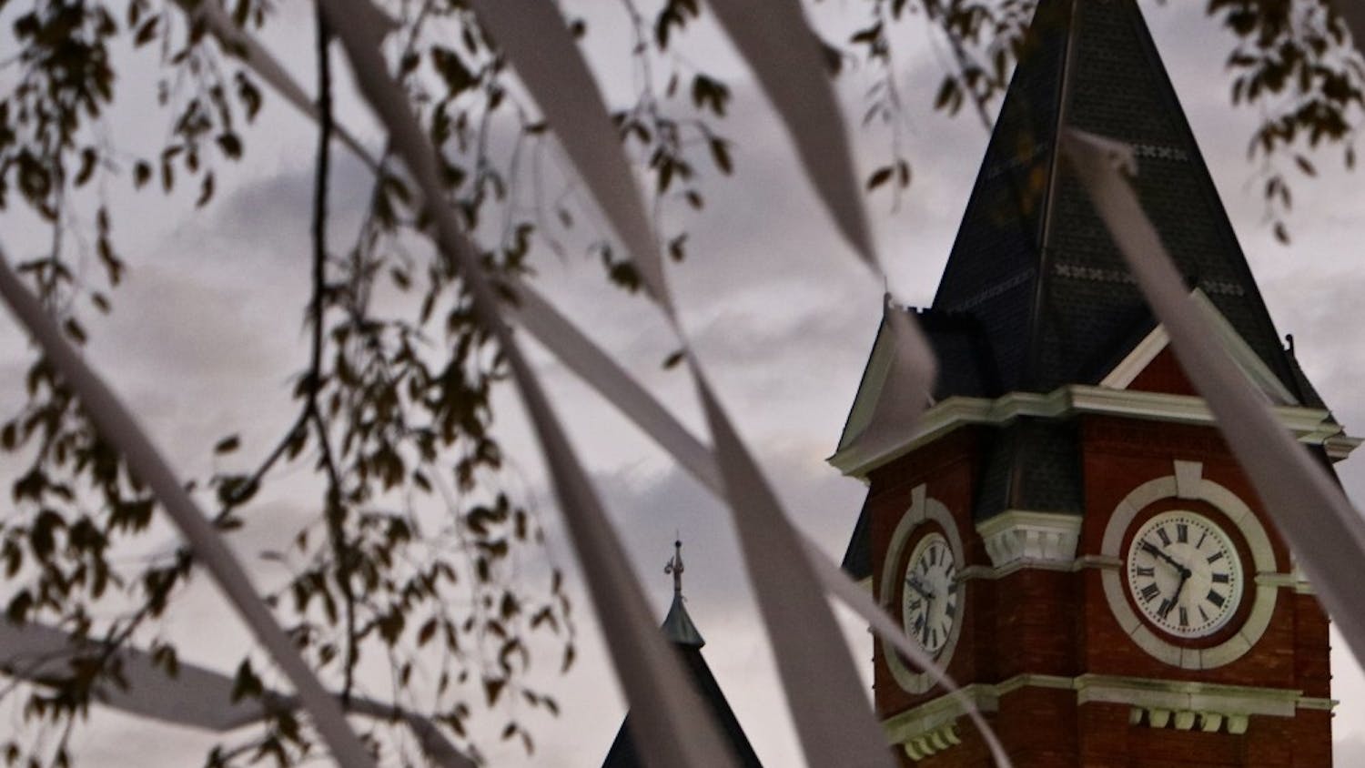 Texas A&M Toomers
