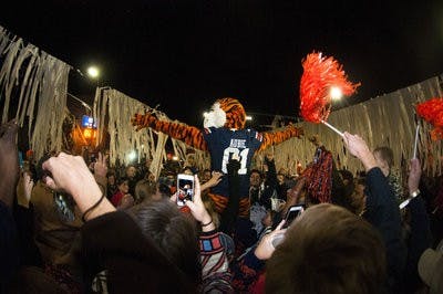 aubie toomers